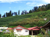 淵明居山庄